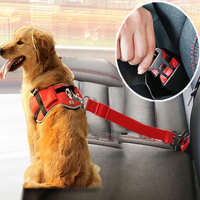 Pet Car Seat Safety Belt