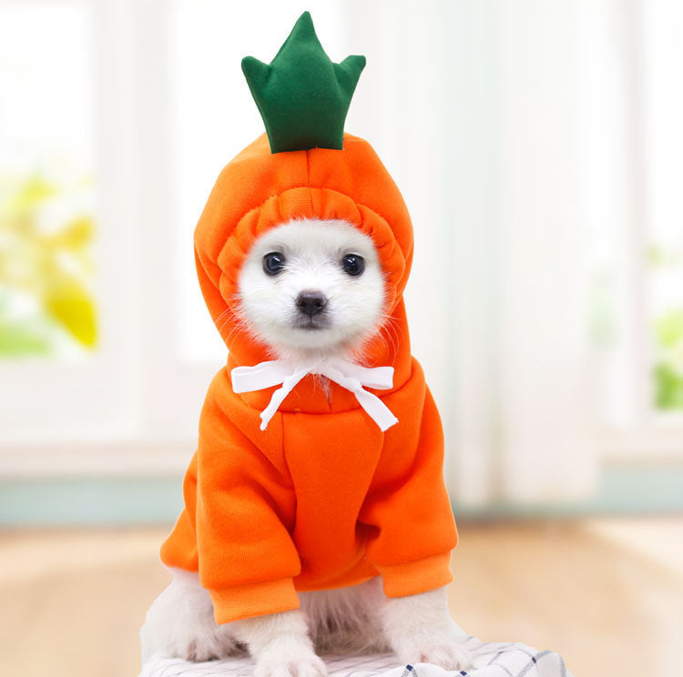 Winter Fruit Pet Hoodie