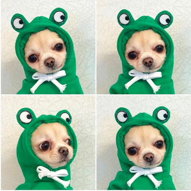 Winter Fruit Pet Hoodie