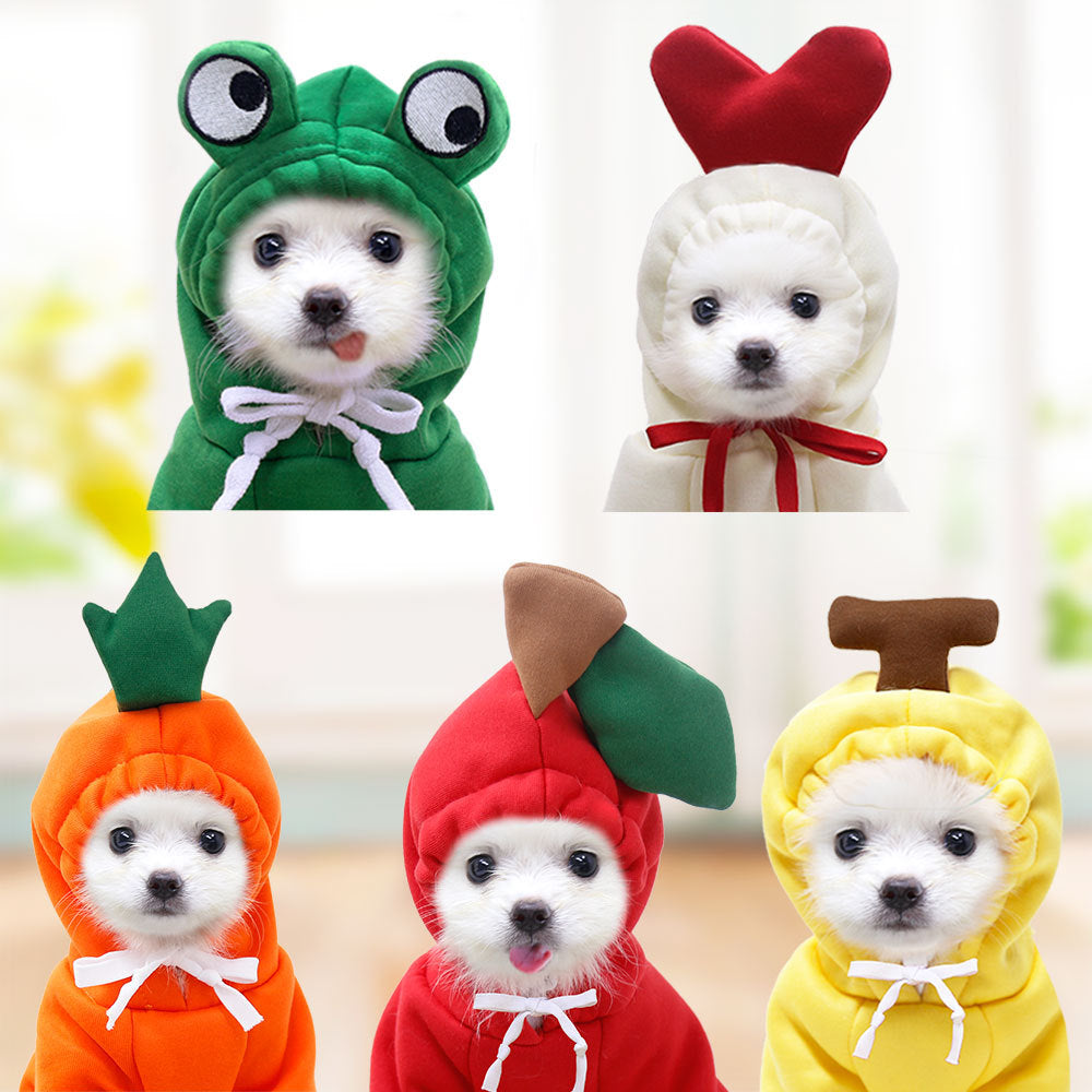 Winter Fruit Pet Hoodie