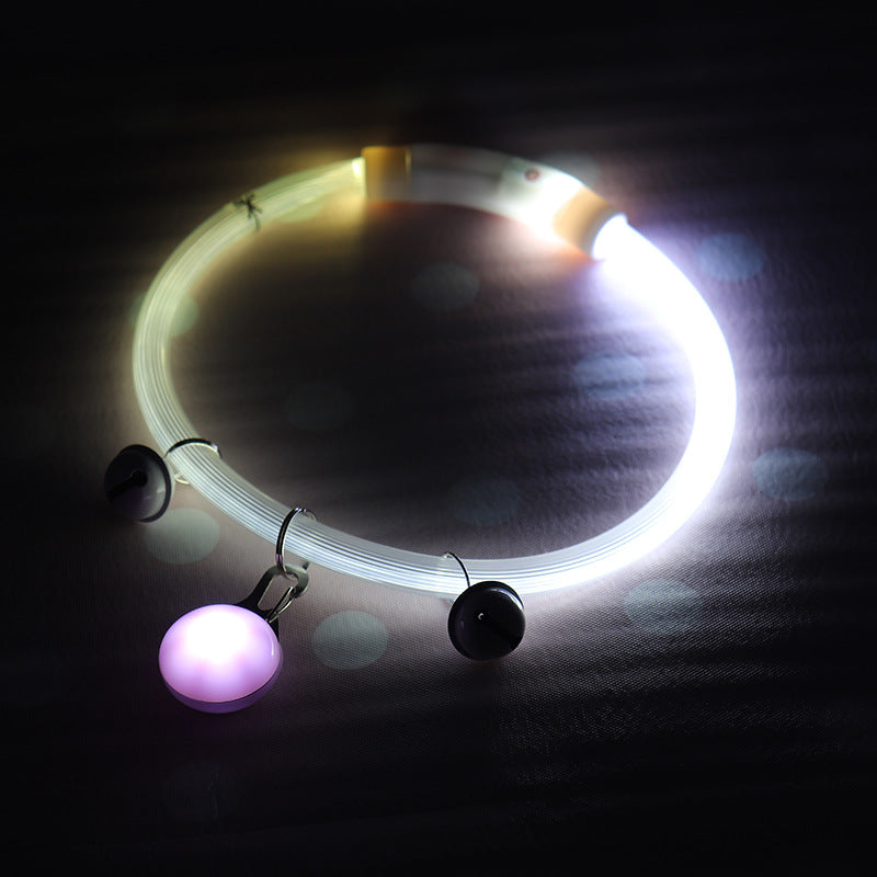 Lighted Dog Walking Collar