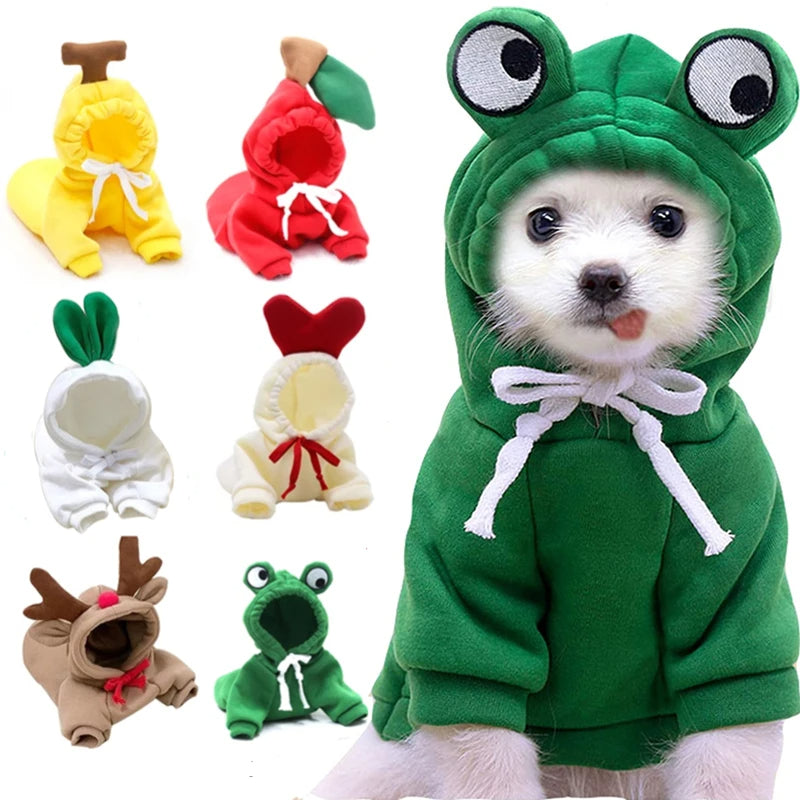 Winter Fruit Pet Hoodie