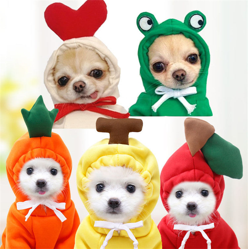 Winter Fruit Pet Hoodie