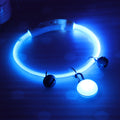 Lighted Dog Walking Collar