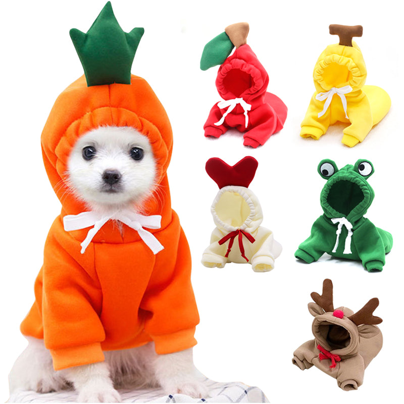 Winter Fruit Pet Hoodie