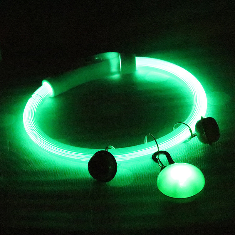 Lighted Dog Walking Collar